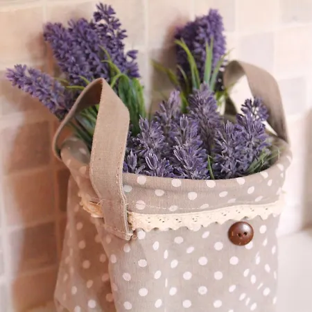 Acquamarina Stella Di Mare Capitana