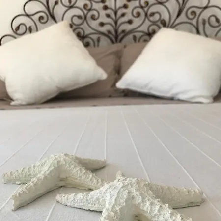 Acquamarina Stella Di Mare