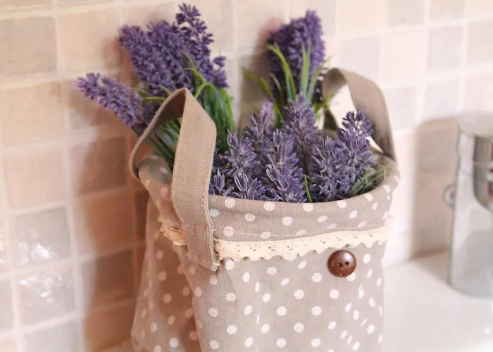 Acquamarina Stella Di Mare Capitana