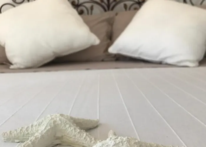 Acquamarina Stella Di Mare